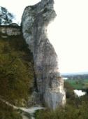 Connelles
