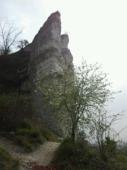 Connelles