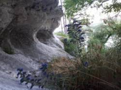 La Roque (Haute-Normandie)