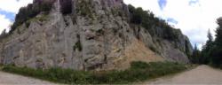 Morillon