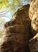 Jackson Falls