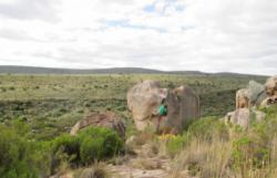 Alicedale
