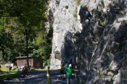 Schollberg