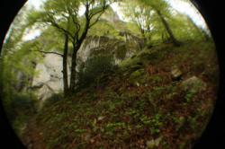 Saint-Sauves