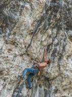 Tristan Knoertzer  dans L’âme de mon Slam 7b Grimpeur... / Saint-Léger-du-Ventoux