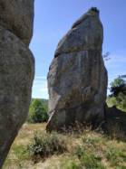 Cournols