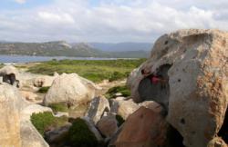 Pianotolli (Punta di Capineru)