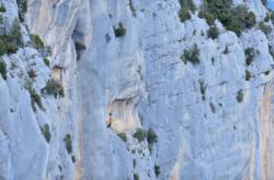 Nina Caprez  dans Les braves gens ne courent pas les rues 8b photo: Keith Ladzinski / Les Gorges du Verdon (L'Escalès)