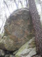 Bois Laville