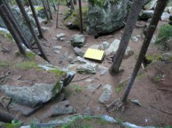 Magic Wood