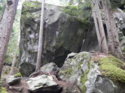 Magic Wood