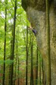 Frankenjura (Wasserstein)