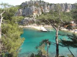 Vela Stiniva