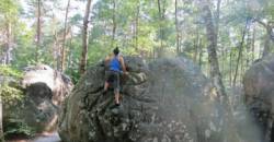 Fontainebleau (Franchard Isatis)