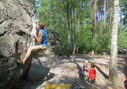 Fontainebleau (Franchard Isatis)