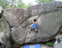 Fontainebleau (Franchard Isatis)