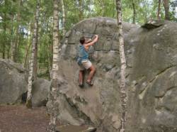 Fontainebleau (Franchard Isatis)