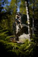 Fontainebleau (Rocher Canon)