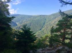 Gfällfelsen (Räuberfelsen)
