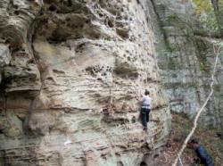 Red River Gorge (Chocolate Factory)