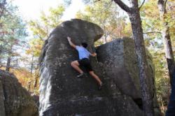 Horse Pens 40