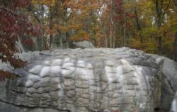 Horse Pens 40