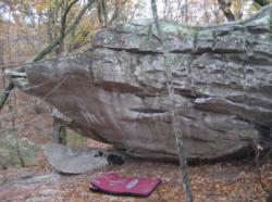 Horse Pens 40