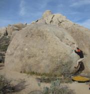 The Buttermilks