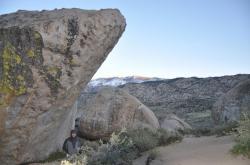 The Buttermilks