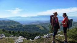 Bukovik - Čardaklija