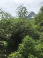 Yangshuo (Moon Hill)