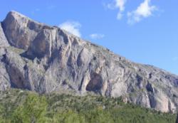 Sella