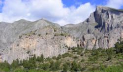 Sella