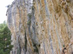 Sella