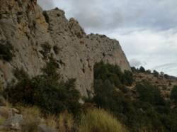 Sella