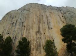 Sella