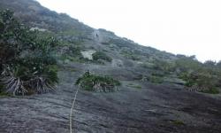 Pão de Açúcar