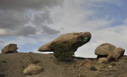 Triassic (unknown name area)