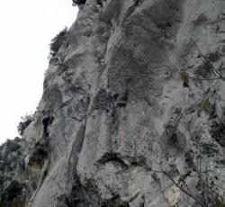 Gorbio
