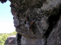 Tamadaba