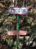 Predulí