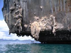 Îles au large de Krabi