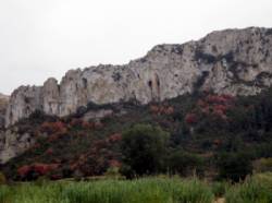 Tautavel (Saint-Martin)