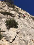 Les Calanques - Morgiou (L'Abricotier)