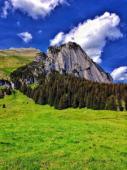 Wildhuser Schafberg