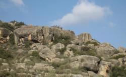 El Cogul