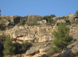 El Cogul