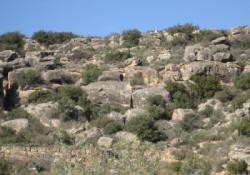 El Cogul