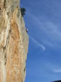 Rob  / Le Thaurac (Mur des Lamentations)