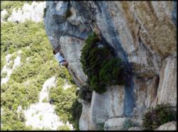 Le Thaurac (L'Aigle & Miroir d'Argentine)
